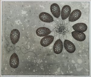 Homoseksueel gedrag van de manlijke gameten van het wier chlamydomonas, 1986 Kleurenets op papier 33 x 39 cm (Ontstaan van de seksualiteit) © foto Ulco Janssen