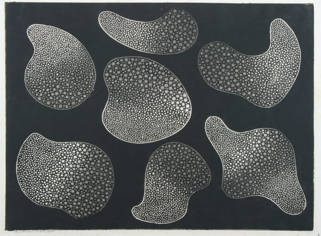 [Macromoleculen], 1977 Ets op papier, 33 x 44,5 cm (Ontstaan van het leven; nr. 7 van 24 particuliere collectie © foto Ulco Janssen